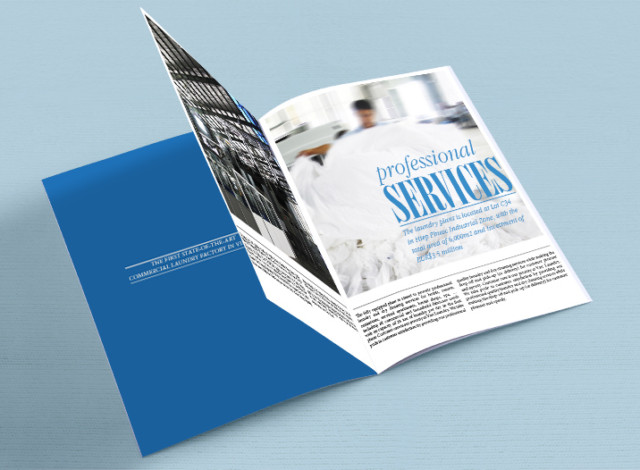 Viet Laundry Brochure