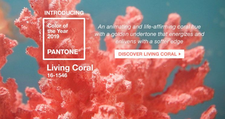 6 MÀU SẮC DỰ BÁO “THỐNG TRỊ” NĂM 2019